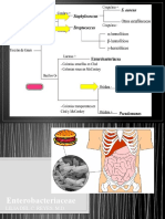 Enterobacteriaceae