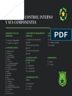 CONTROL INTERNO