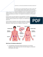 Importancia Del Sistema Endocrino Anatomia