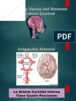 Riego Sanguineo Cerebral