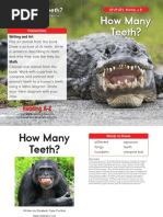 How Many Teeth