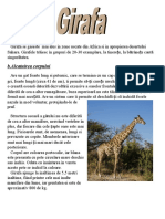 Girafa