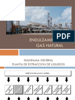 TEMA 4 - ENDULZAMIENTO DEL GAS NATURAL