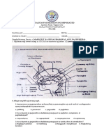 FIL 102 2nd Exam