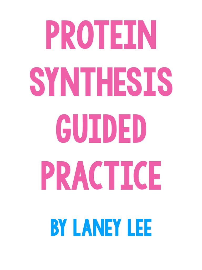 Protein Synthesis Guided Practice by Laney Lee PDF Rna Translation (Biology)