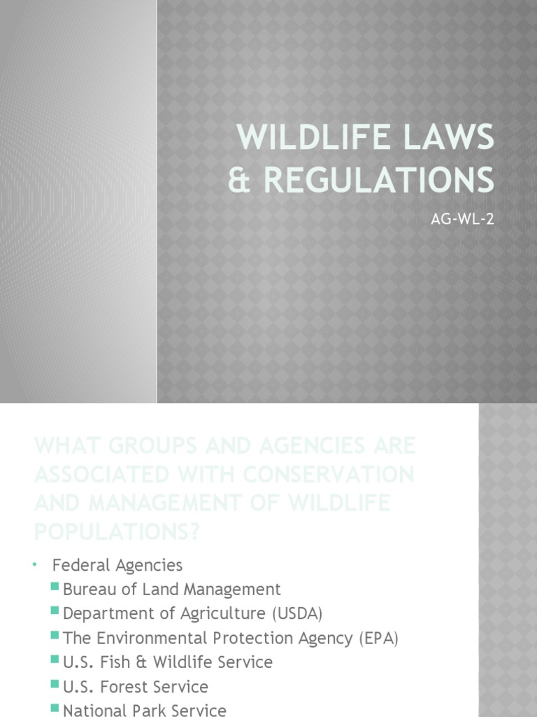 Hidden Wildlife Laws What Your State Isnt Telling You - qbvca1b