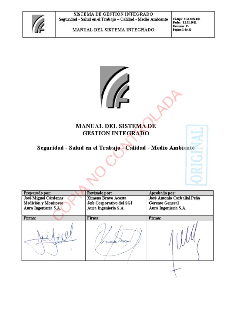 Manual Sgi Version 15 Febrero 2021 Pdf Calidad Comercial