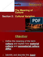 Culturaldiversity-Culture N Society