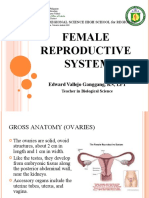 Female Reproductive System: Edward Vallejo Ganggang, RN, LPT