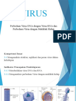 Perbedaan Virus DNA Dengan RNA Dan Perbedaan Virus DengN Makhluk Hidup