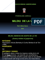 Clase Fito Agr-Mildiu Vid