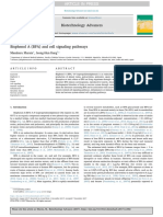 Bisphenol A (BPA) and Cell Signaling Pathways