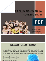 Desarrollo Adolescente