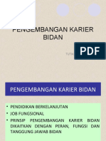 Karir Bidan