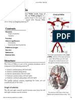 Circle of Willis - Wikipedia