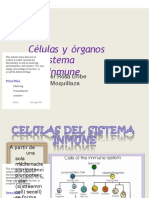Dlscrib.com PDF Celulas y Organo Del Sistema Inmune Dl_2f119d92075645015f6c9c6f3028e828