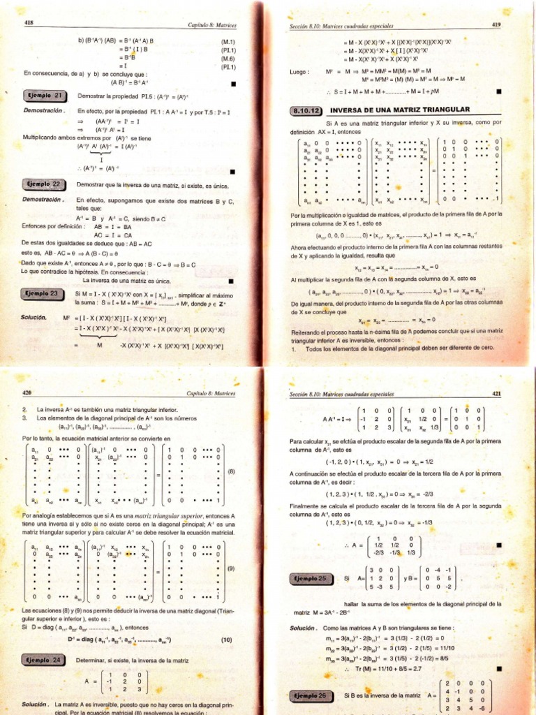 Inversa de Matrices Triangulares | PDF | Matriz (Matemáticas) | Objetos ...