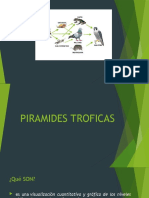 Piramides Troficas