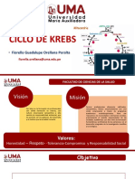 Clase 9. Ciclo de Krebs