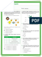 Taller Seguimiento 2 Periodo 7