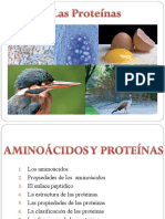 Aminoacidos Proteinas