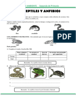 Los Reptiles y Anfibios para Segundo de Primaria