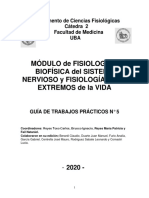GUIA TP 5 Neurofisiología