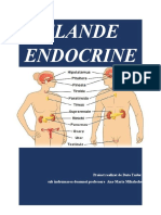 Glande Endocrine