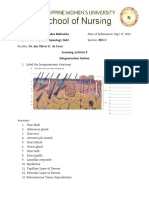 Integumentary System (Anatomy and Physiology)