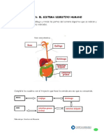 Articles-22973 Recurso Pauta PDF