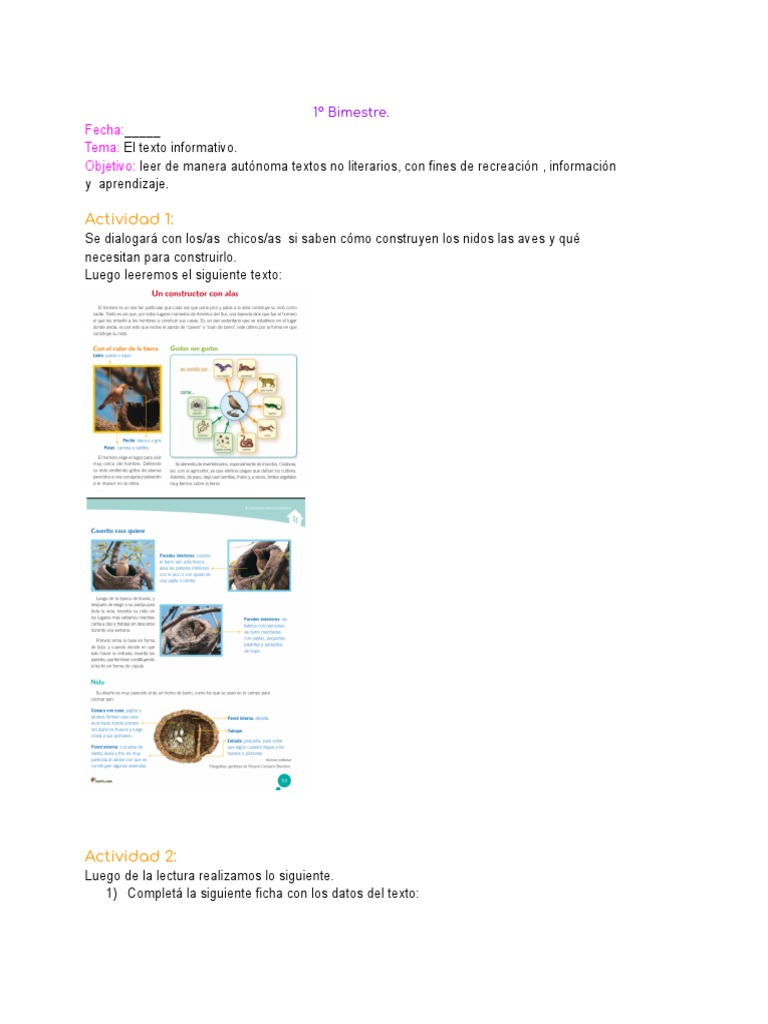 Clase de Lengua 1 | PDF | Nido