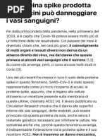 La proteina spike prodotta dai vaccini può danneggiare i vasi sanguigni? | DMEVC