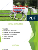 Semiologia_do_sistema_respiratorio_equinos_1.pdf-1