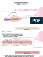 Tipos de Cicatrizacion