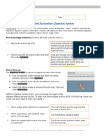 DigestiveSystemSE - Activity C