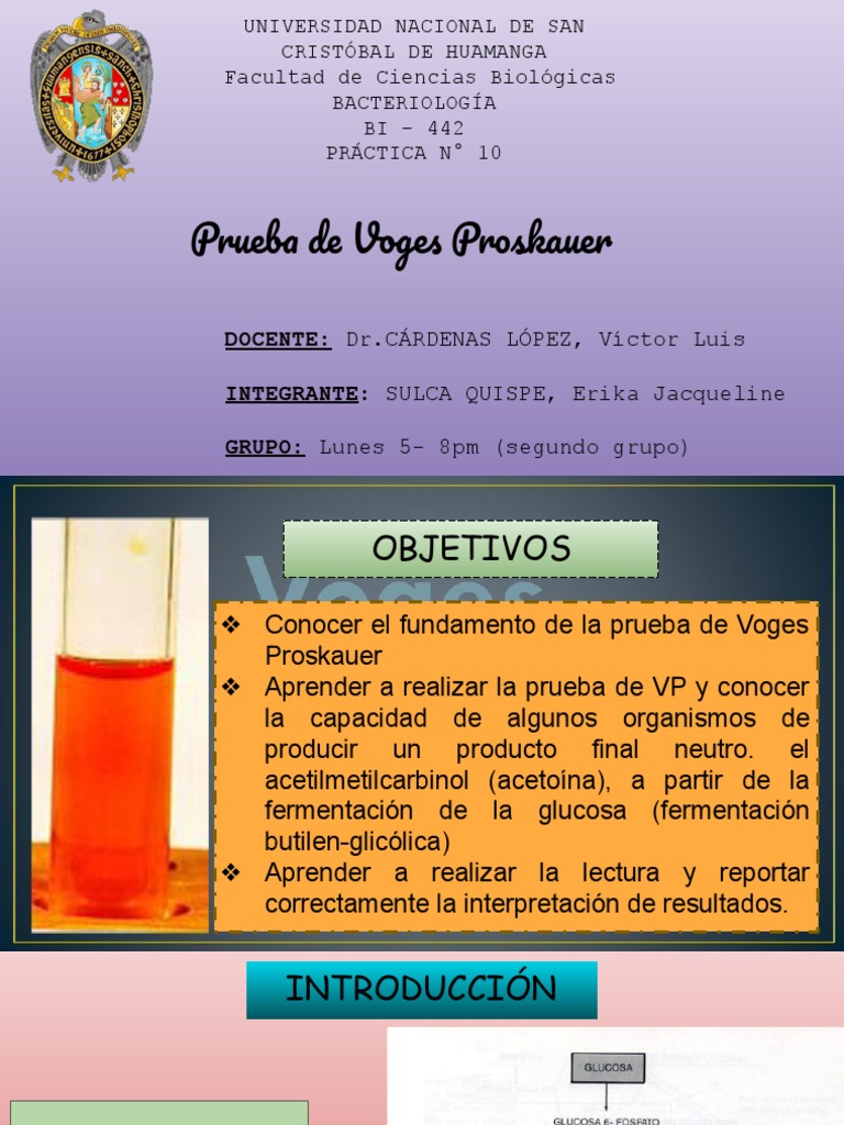 Prueba de Voges Proskauer PDF Sustancias químicas Ciencias fisicas