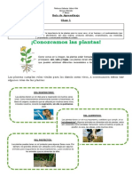 GUÍAS CIENCIAS MARZO