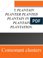 The Plantain Planter Planted Plantain in His Plantain Plantation