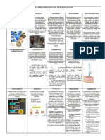 Matriz Proceso de Intoxicación 