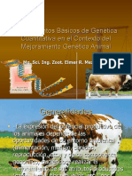 Fundamentos básicos de genética cuantitativa en el contexto del mejoramiento genético animal