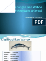 Penangan Ikan Wahoo (Acanthocybium solandri)