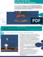 Sistema Respiratorio