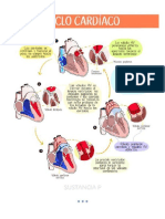 04 Ciclo Cardiaco