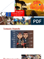 Mapuches 2021 Mod 2