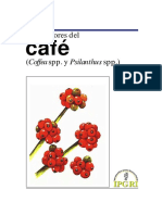 Descriptores_del_café__Coffea_spp._y_Psilanthus_spp.__487