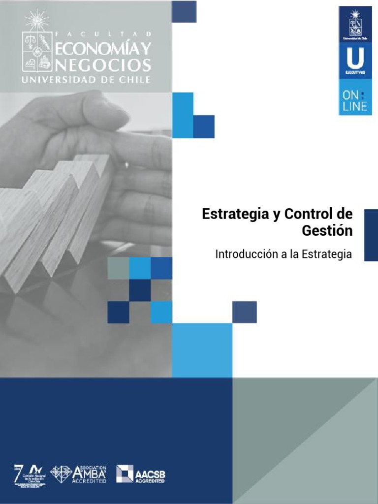 Estrategia y Control de Gestión en FEN | PDF | Planificación ...