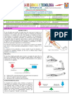 Actividad - Semana 19 - C y T - 5to - 2021