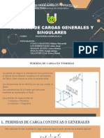 Grupo 6 Perdidas de Carga