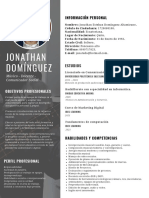 Currículum Vitae Jonathan Domínguez