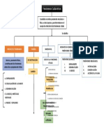 Mapa Conceptual de Fenomenos Cadavericos